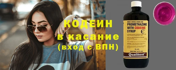 индика Зеленодольск