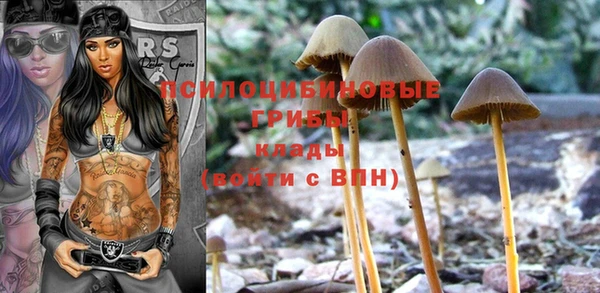 индика Зеленодольск