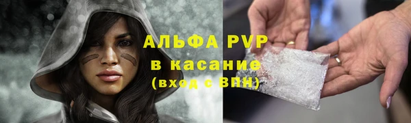 индика Зеленодольск