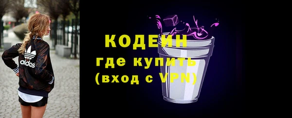 индика Зеленодольск