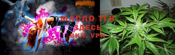 индика Зеленодольск