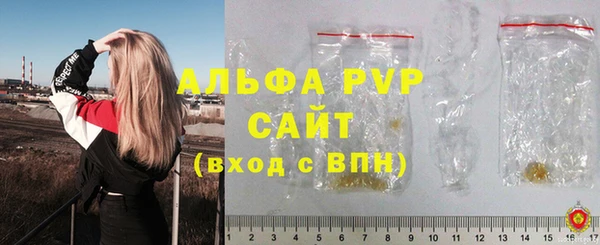 индика Зеленодольск