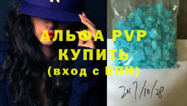 индика Зеленодольск
